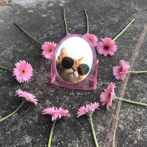 Meet your Posher, Gianna